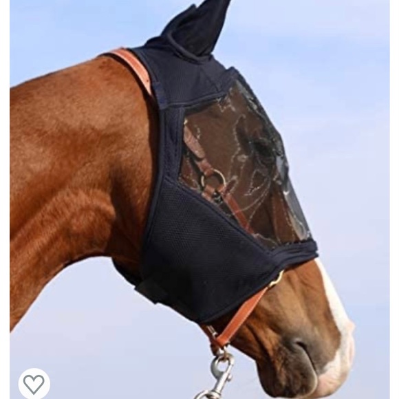 TGW Other - TGW Horse riding mask